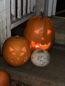 3 pumpkins, 1 carved as a cat, 1 carved as a face and a dinosaur drawn on the smallest one