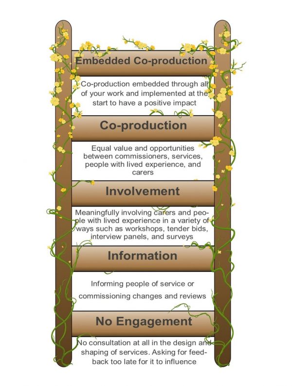 Co-Production Ladder with text